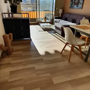  Appartement Bel Plein Centre France